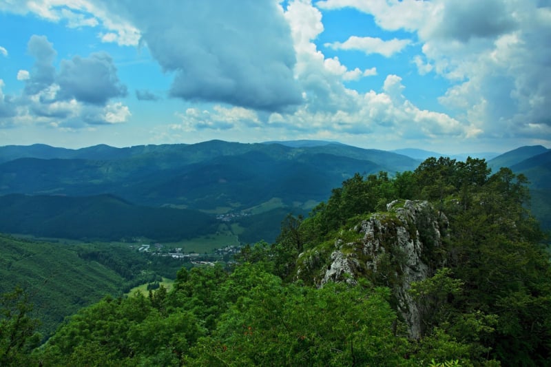 image_17401428701175506483.jpg