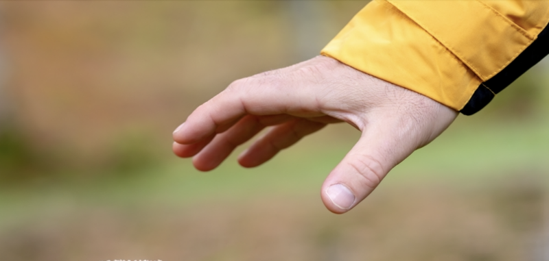 image_1740142875972511440.png
