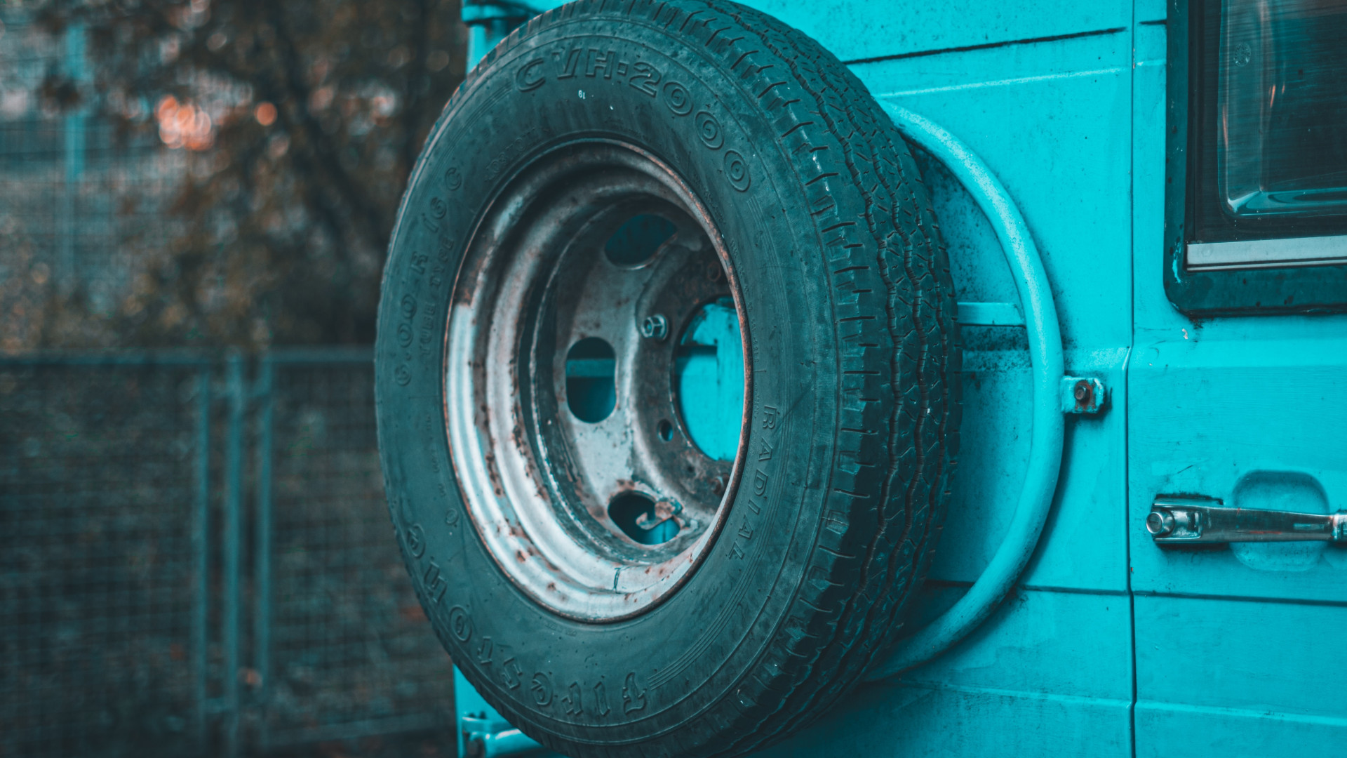 pexels-volker-thimm-9996404.jpg