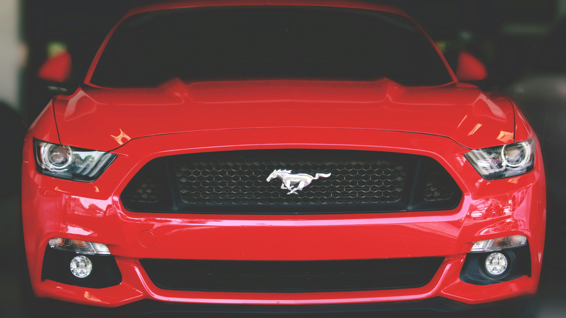 Ford-Mustang-Thumb-Rss